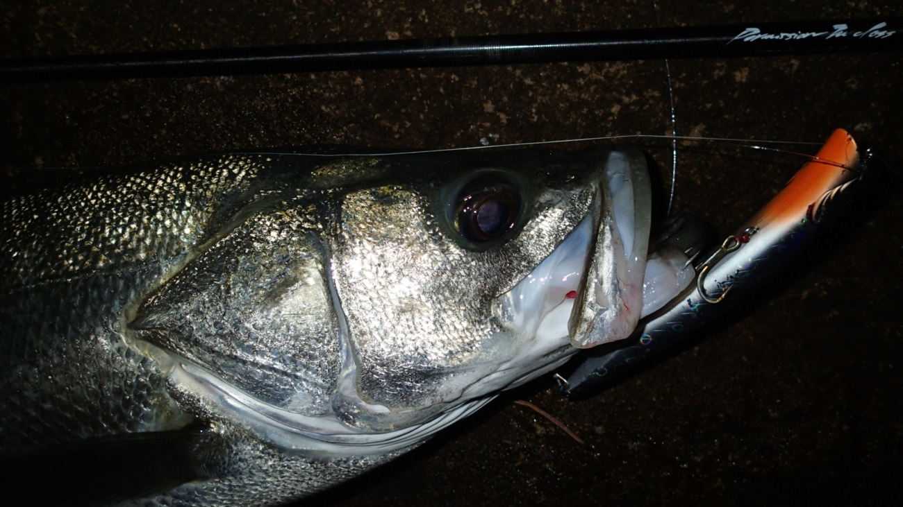 Permission 89SM (SeaBass Spinning Model) | TRUTH JAPAN