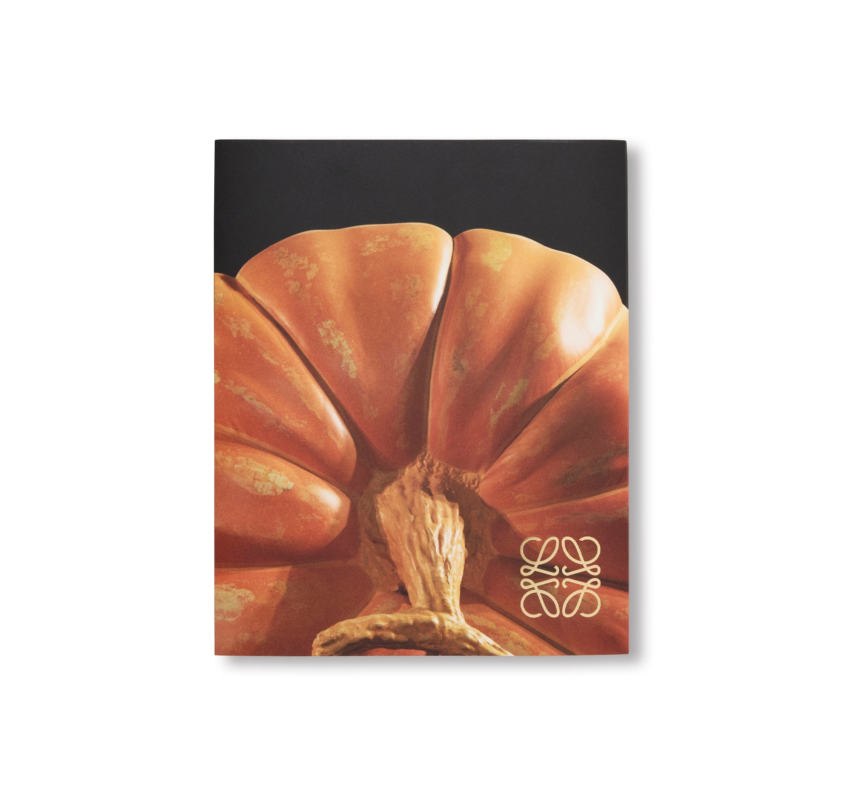 CRAFTED WORLD: JONATHAN ANDERSON'S LOEWE – twelvebooks