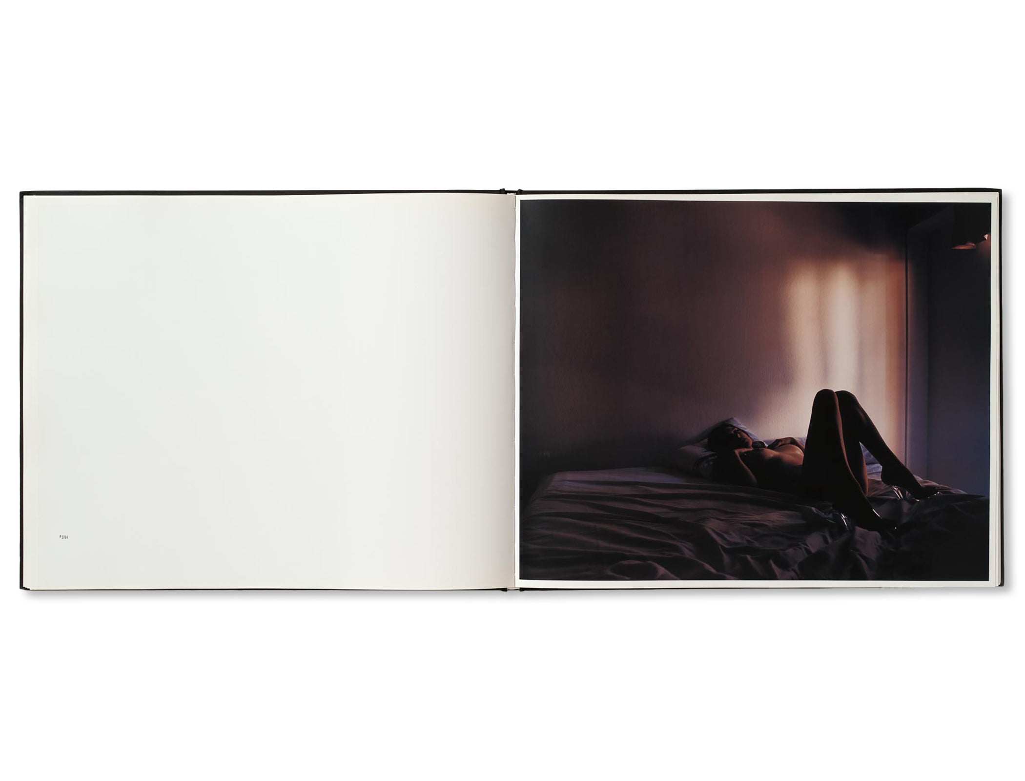 BETWEEN THE TWO by Todd Hido [FIRST EDITION] – twelvebooks