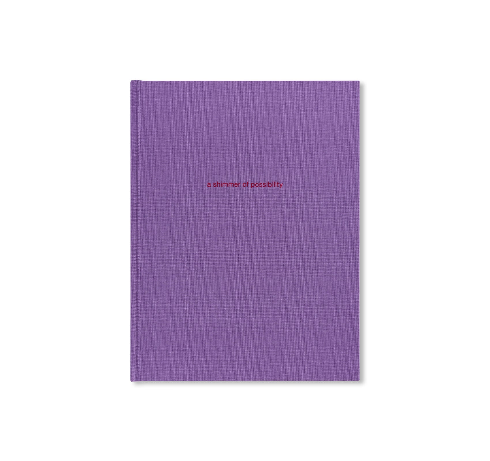 A SHIMMER OF POSSIBILITY by Paul Graham [SIGNED] – twelvebooks