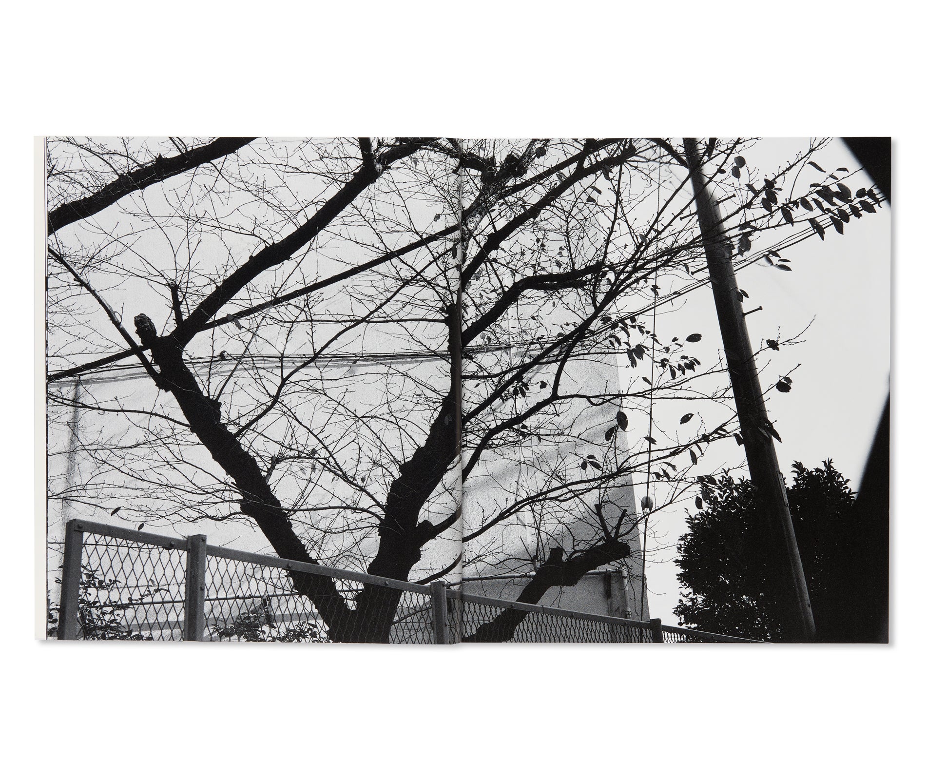 流石 / RYU U SE KI - HYSTERIC No.10 by Nobuyoshi Araki – twelvebooks