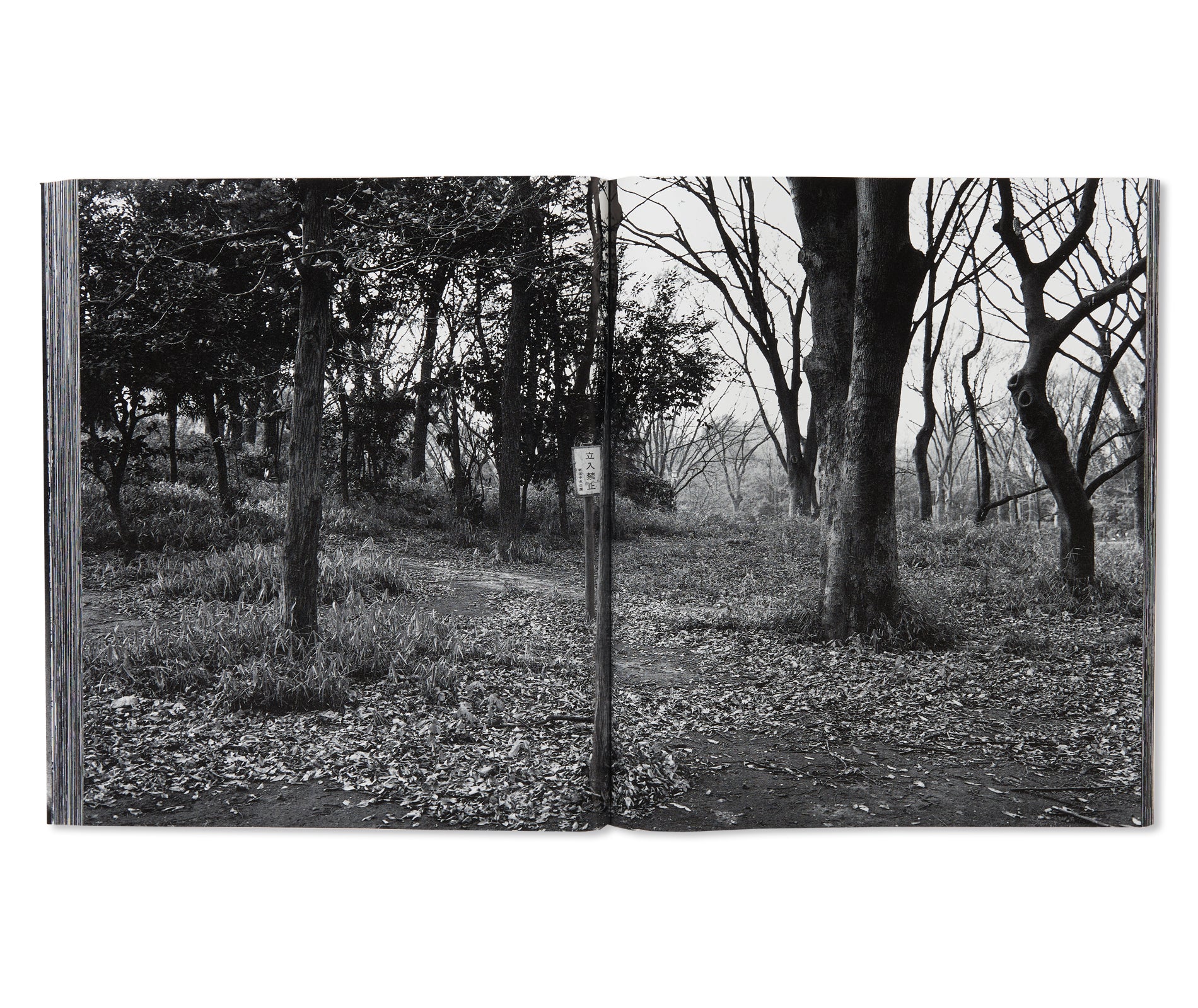 流石 / RYU U SE KI - HYSTERIC No.10 by Nobuyoshi Araki – twelvebooks