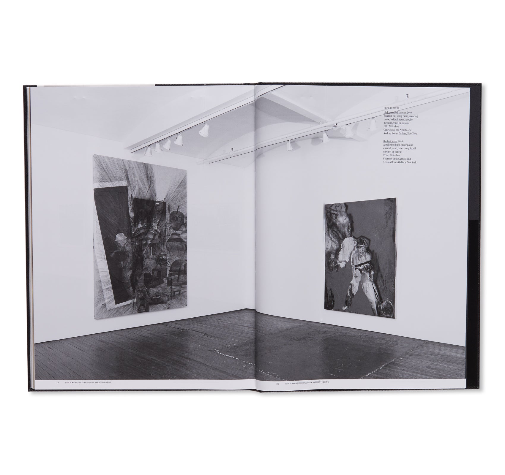 SHADOW FUX by Rita Ackermann, Harmony Korine – twelvebooks