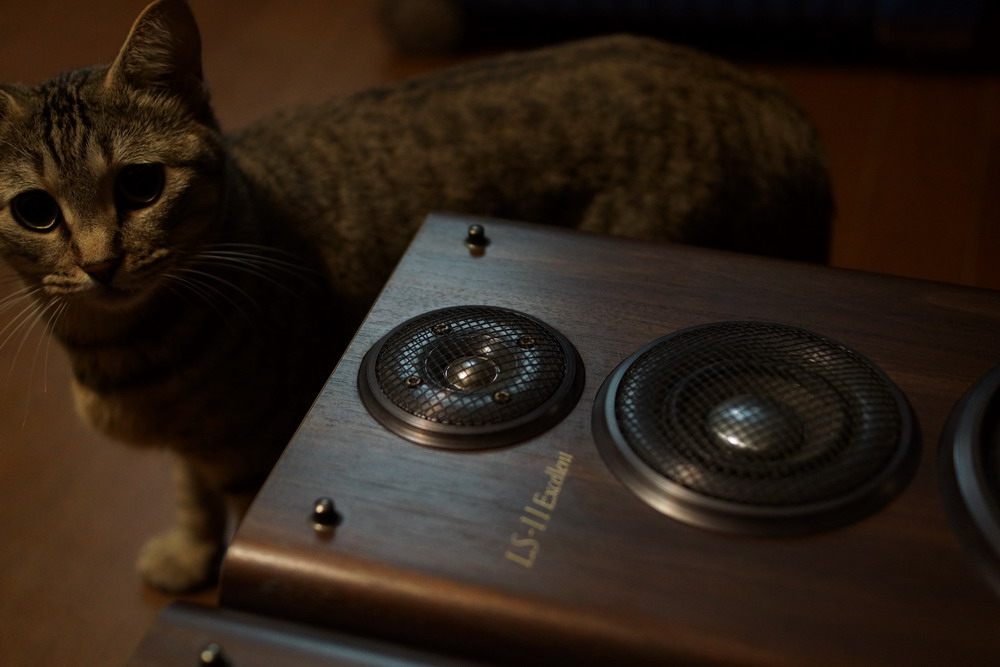 KENWOOD LS-11 Excellent。こぶりの3WAYの名器。音質。レビュー.+