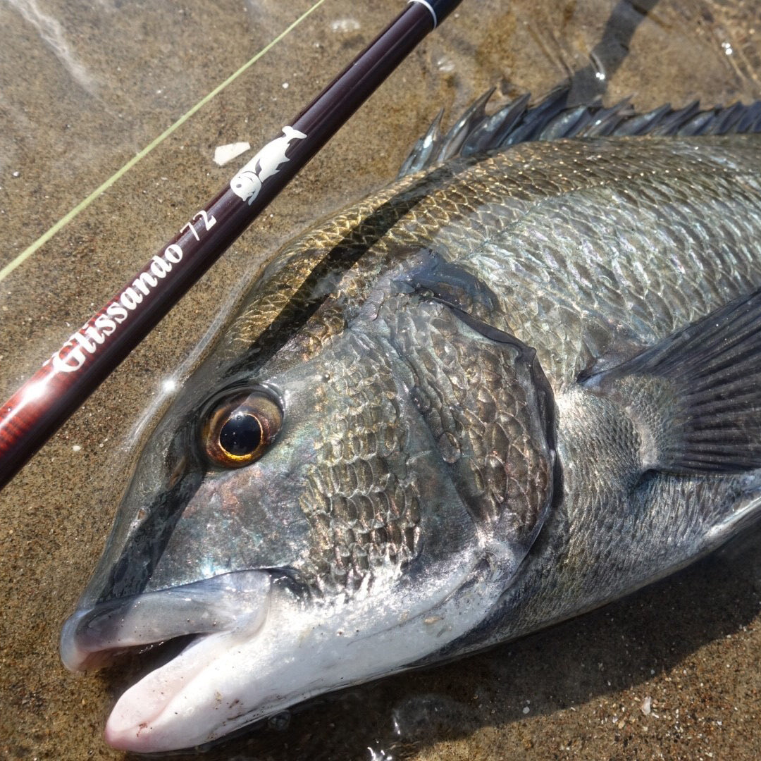 Glissando72 – TULALA online store