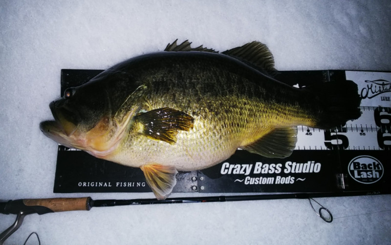 TULALA | Ford every stream | » Monstruo”ConceptDestruction” 66MLS