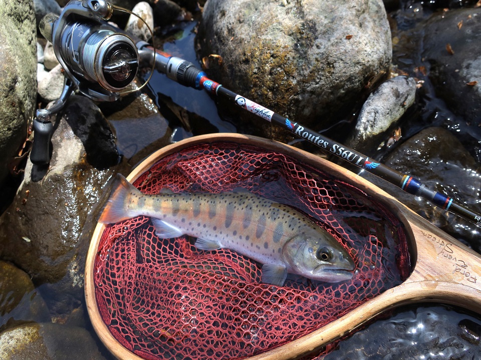 TULALA | Ford every stream | » 【公式】新シリーズ「Routes」C60UL