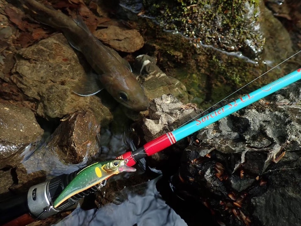 TULALA | Ford every stream | » 【公式】初春から晩夏までしっかり