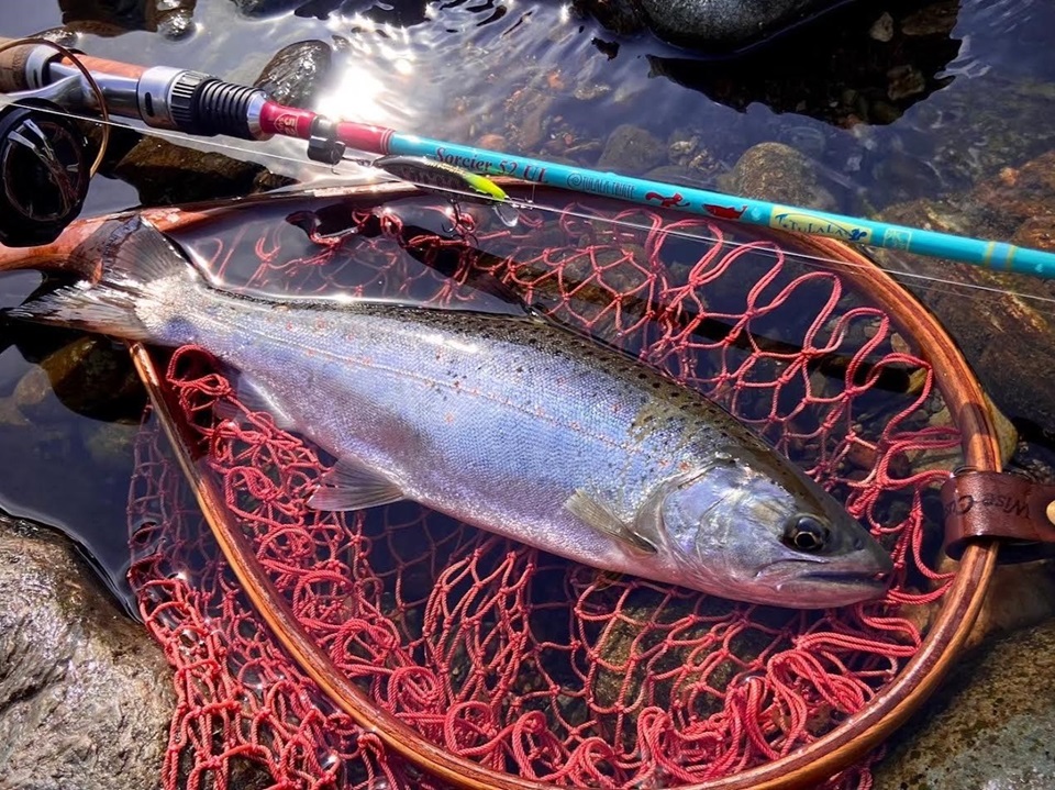 TULALA | Ford every stream | » 【公式】初春から晩夏までしっかり