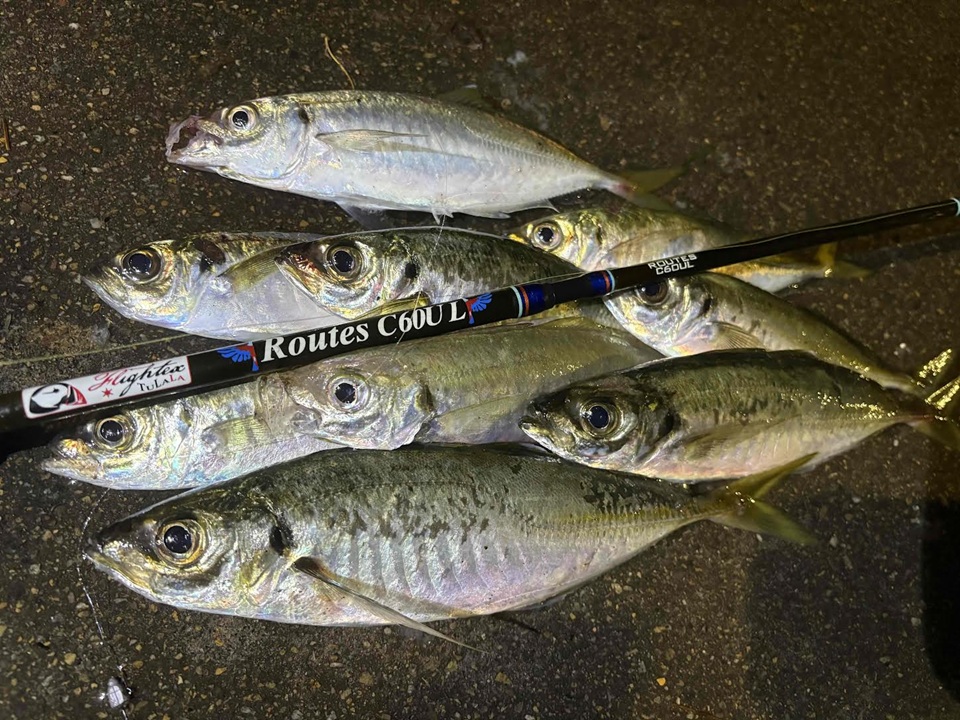 TULALA | Ford every stream | » News_Category » Groovy（グルーヴィ）