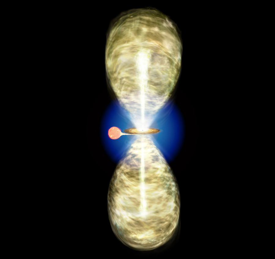 星 アウトレット】ライフスタイル 光る！星座スポーツてぬぐい | ビクセン