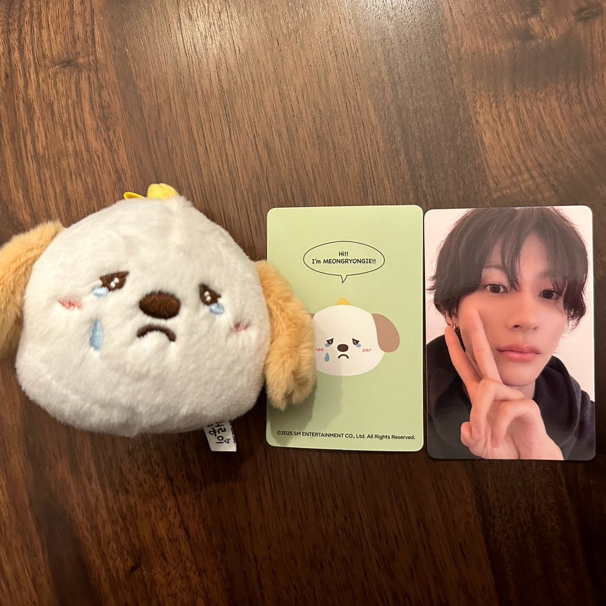 RIIZE WONDERLAND ANTON blind box secret | Mercari