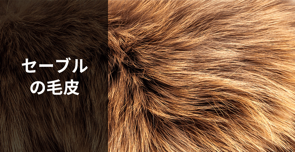 高級毛皮ランキングとは？高値で取引される世界三大毛皮について紹介