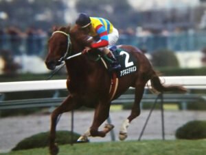 アグネスタキオン〜幻の三冠馬と呼ばれた