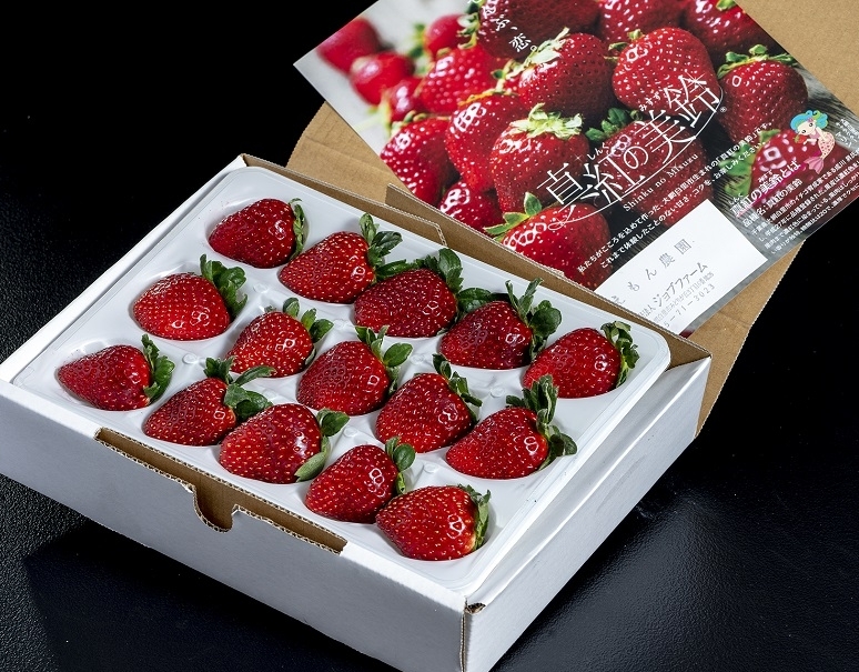 真紅の美鈴」千葉県産 黒いちご 約350g（15〜18粒）産地箱 ※冷蔵｜お