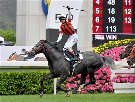 香港QEIIC】ウインブライトが海外GI制覇｜競馬ニュース｜競馬