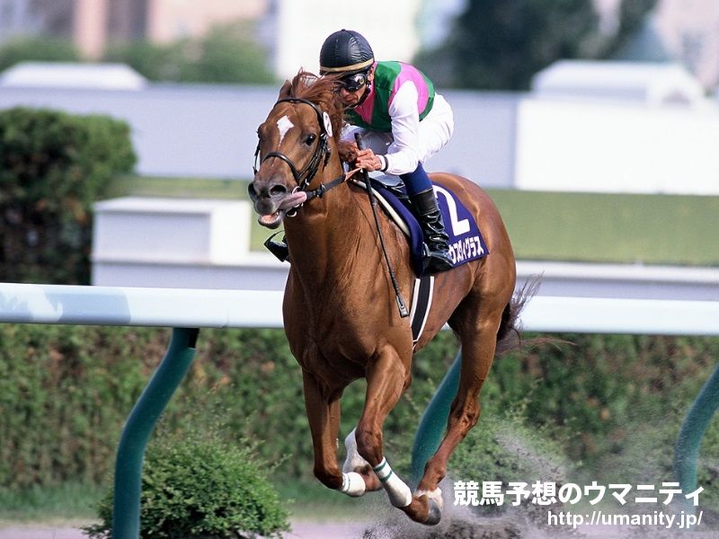 中山4R・2歳新馬】4番人気サノノアルペンが逃げ切りで3馬身半差の快勝