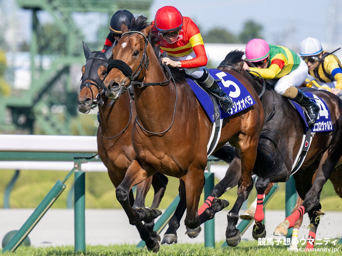 大阪杯2026特集｜競馬予想のウマニティ