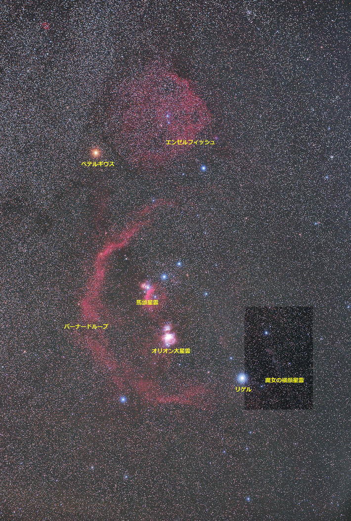 300mmノータッチ追尾で撮る魔女の横顔星雲。: SWAT