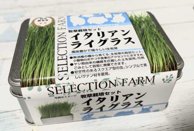 イースター「セレクションファーム」試してみました！イタリアン