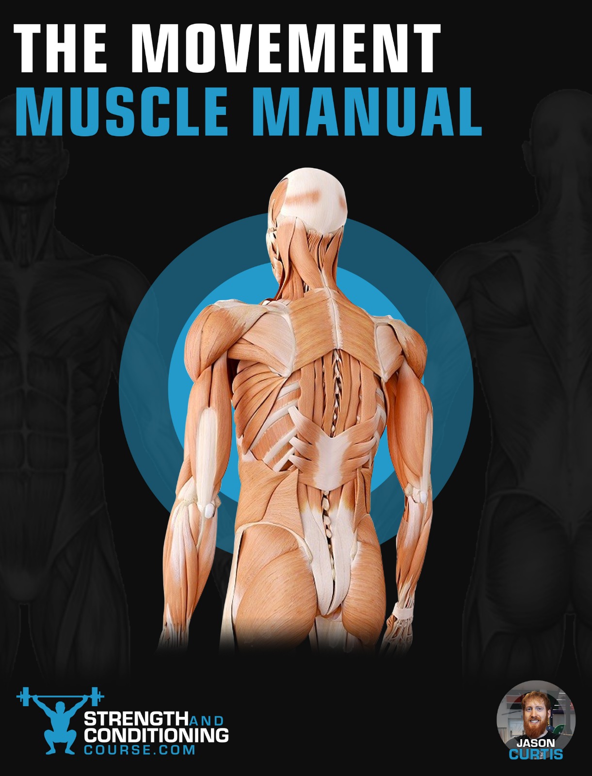 MUSCLE MANUAL PDF | THE SCC ACADEMY