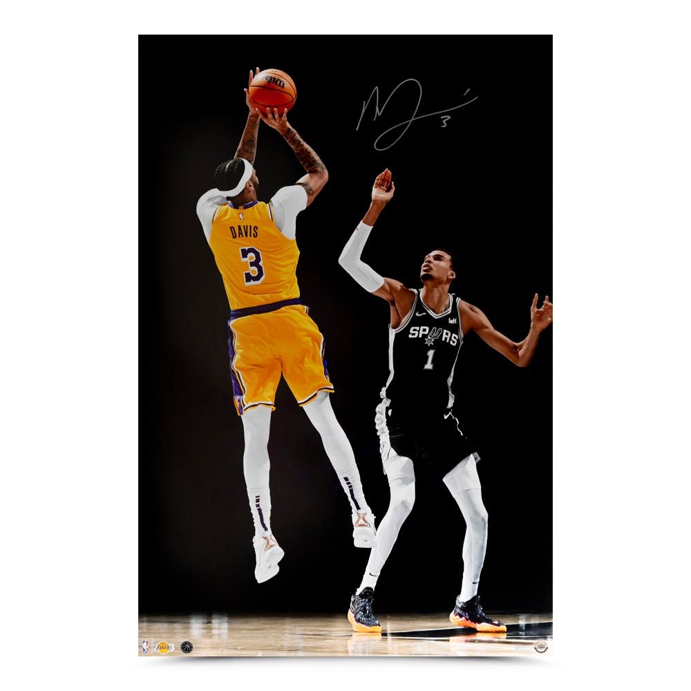 33009_ada_fadeaway_24x36.jpg?