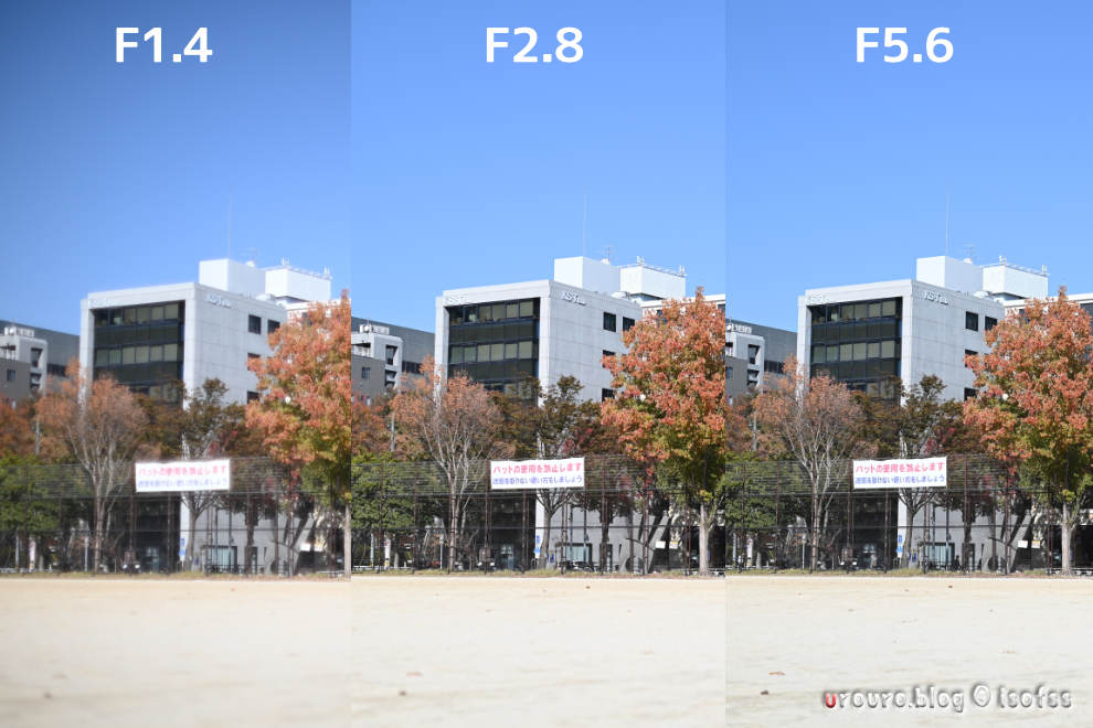 なんにもせんとシネマチック・初期型NIKKOR-S Auto 50mm F1.4の作例25