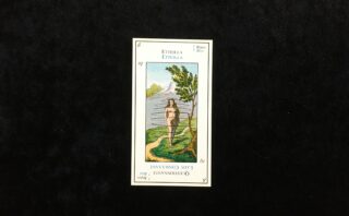 エテイヤ（エッティラ）のタロットカード「No.1：カオス」の意味