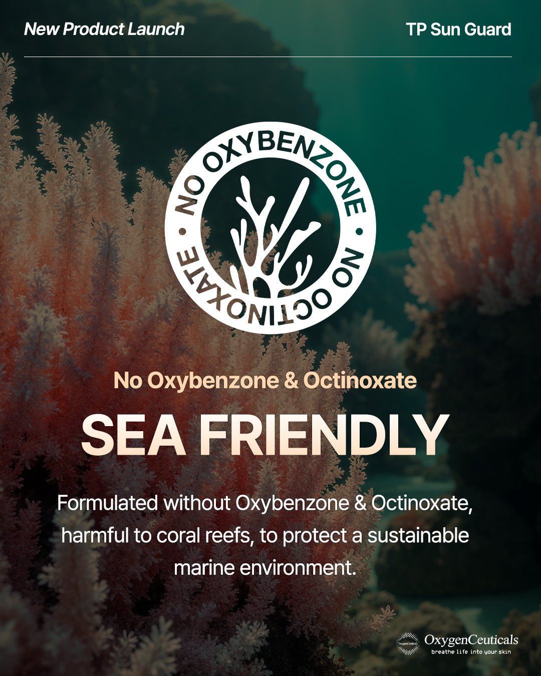 OxygenCeuticals]TP Sun Guard - Hyaluronic acid Sunscreen No White