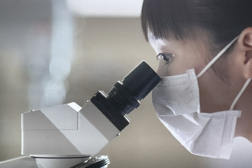 HARISTONE（ハリストンシリーズ） - 株式会社UTP