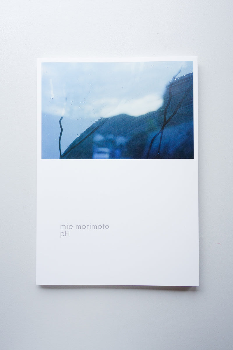 pH / 森本美絵 - Utrecht