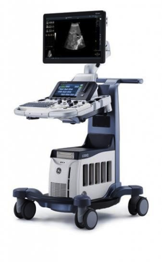 ☆ 新規超音波検査機＆高周波手術装置導入 ☆｜うつのみや動物病院