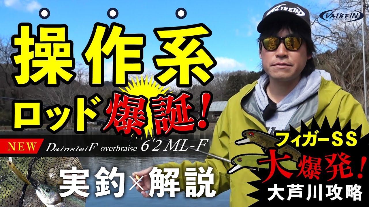 DainsleiF overbraise（ダーインスレイヴ オーバーブレイズ） | RODS