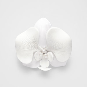 VBUS5000__W2_999_0_20241218111