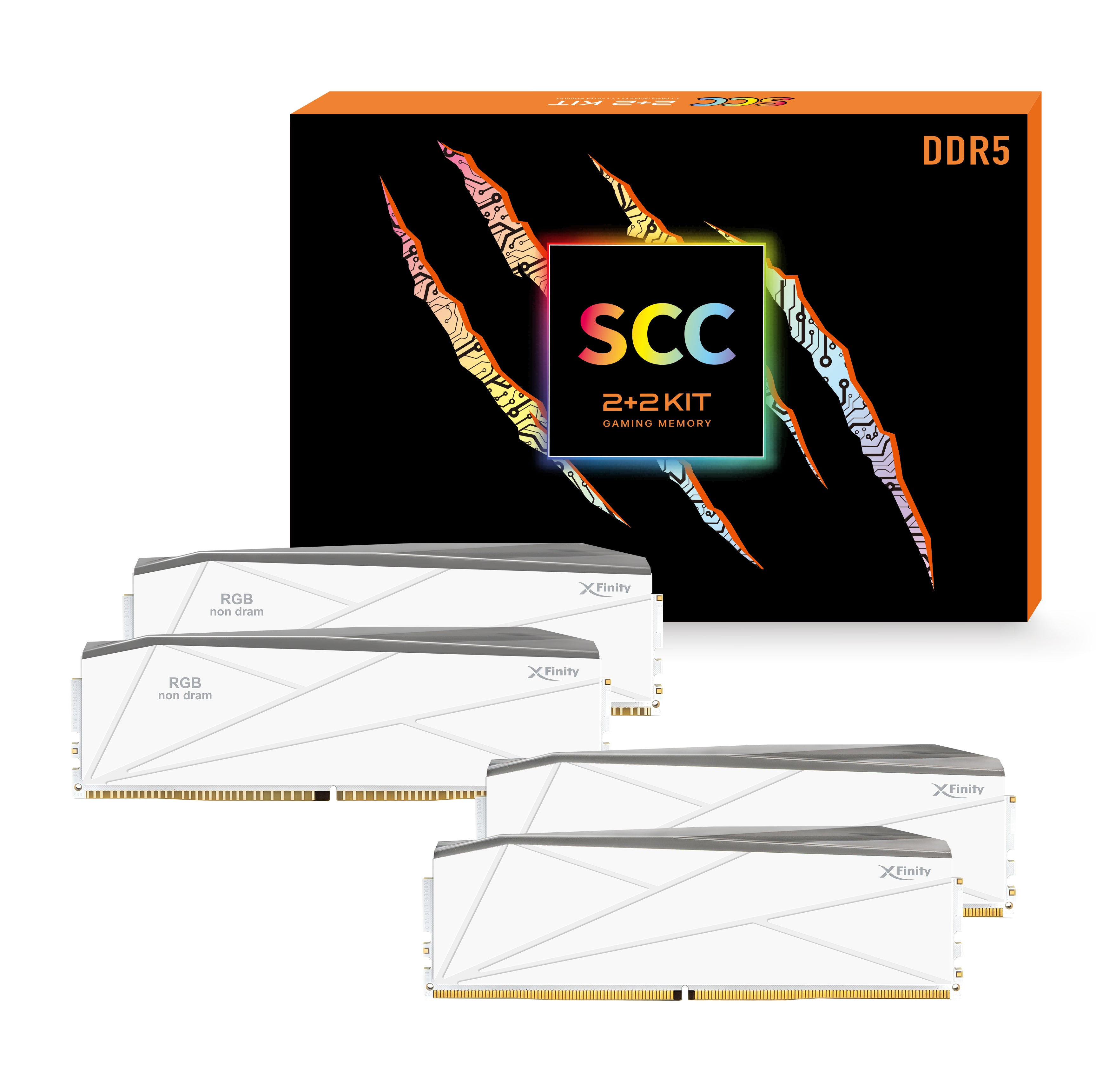Manta SCC 2+2 KIT 32GB DDR5 メモリー DDR5 | [Manta] XFinity RGB