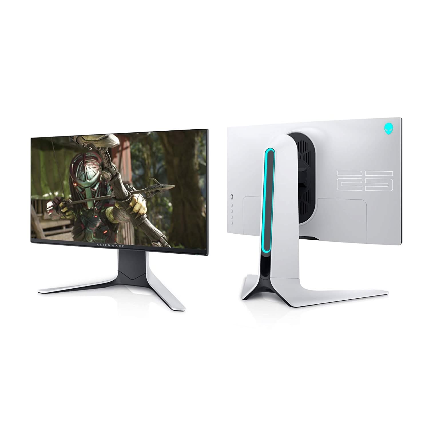 DELL ALIENWARE 25 INCH AW2521HFL 1MS 240HZ IPS GAMING MONITOR