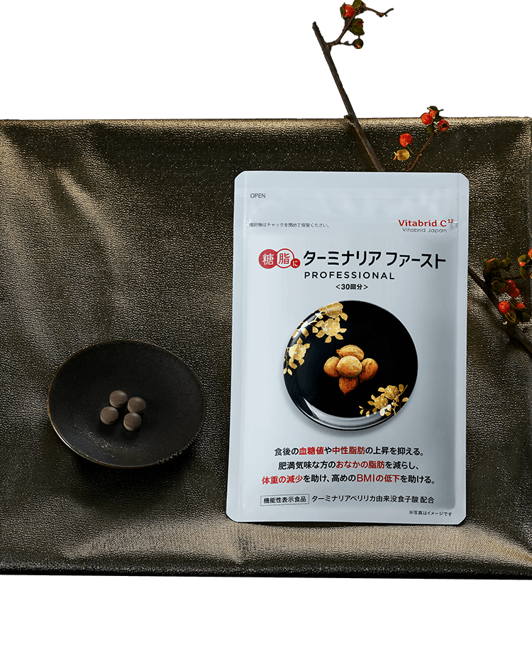 Vitabrid ターミナリアファースト 30回分✖️3袋 Vitabrid ターミナ