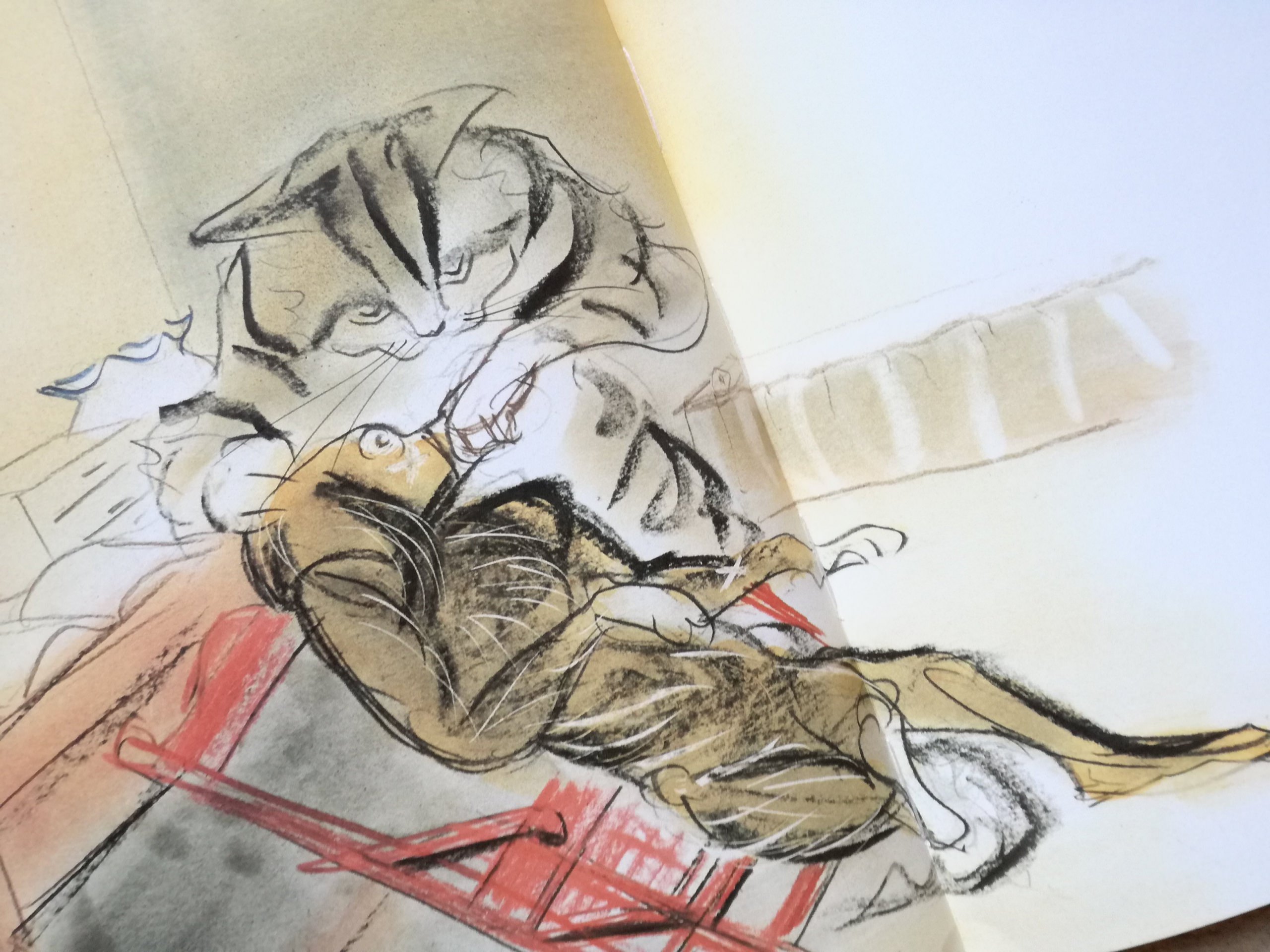 小沢良吉ねこシリーズ ねこいしゃ | 猫本専門書店 書肆 吾輩堂