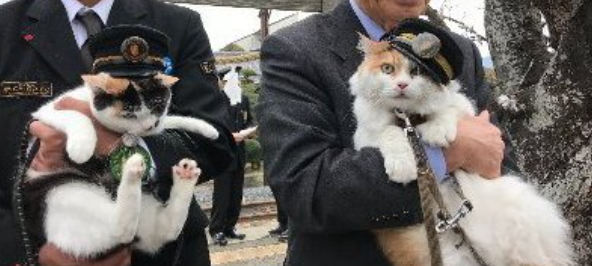 ニタマ駅長」と「よんたま駅長」がダブル昇格！ | 和歌山電鐵