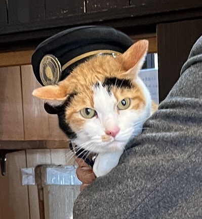 ねこ駅長について | 和歌山電鐵