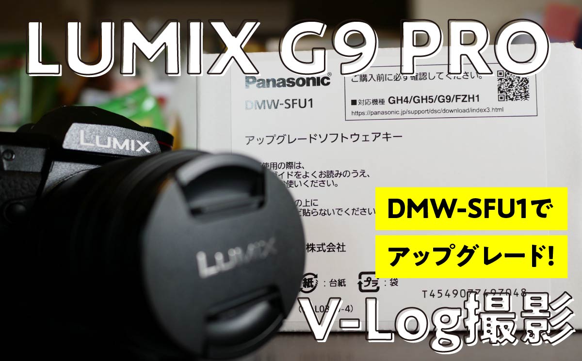 LUMIX G9 PROでLog撮影を可能にしてみた – WASAblog