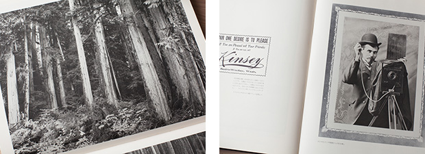 森へ―ダリウス・キンゼイ写真集（絶版）：編集部の本棚：おもしろ森学