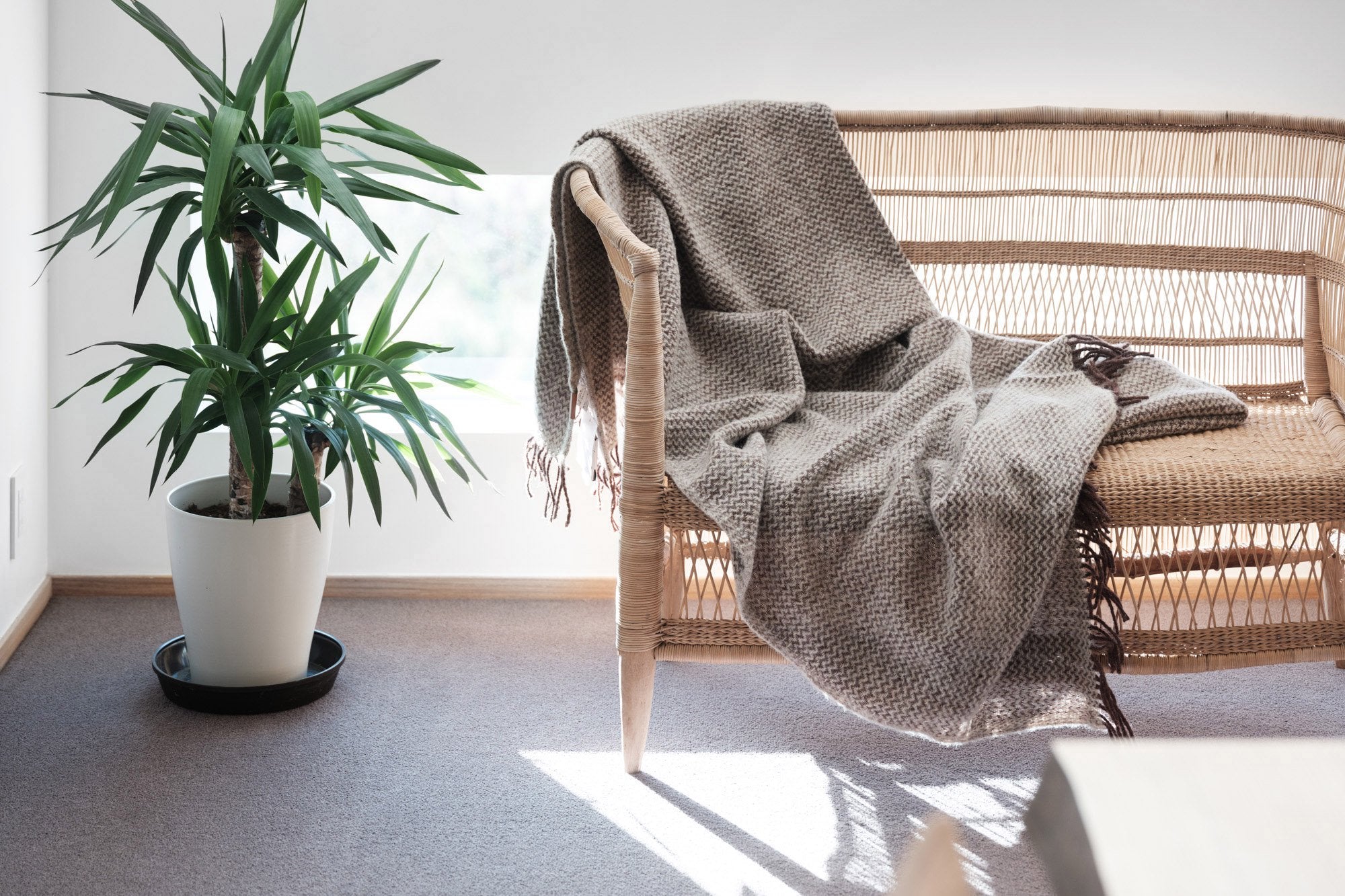 リサイクルウールスロー ウェーブ｜KLIPPAN クリッパン - パンと日用品