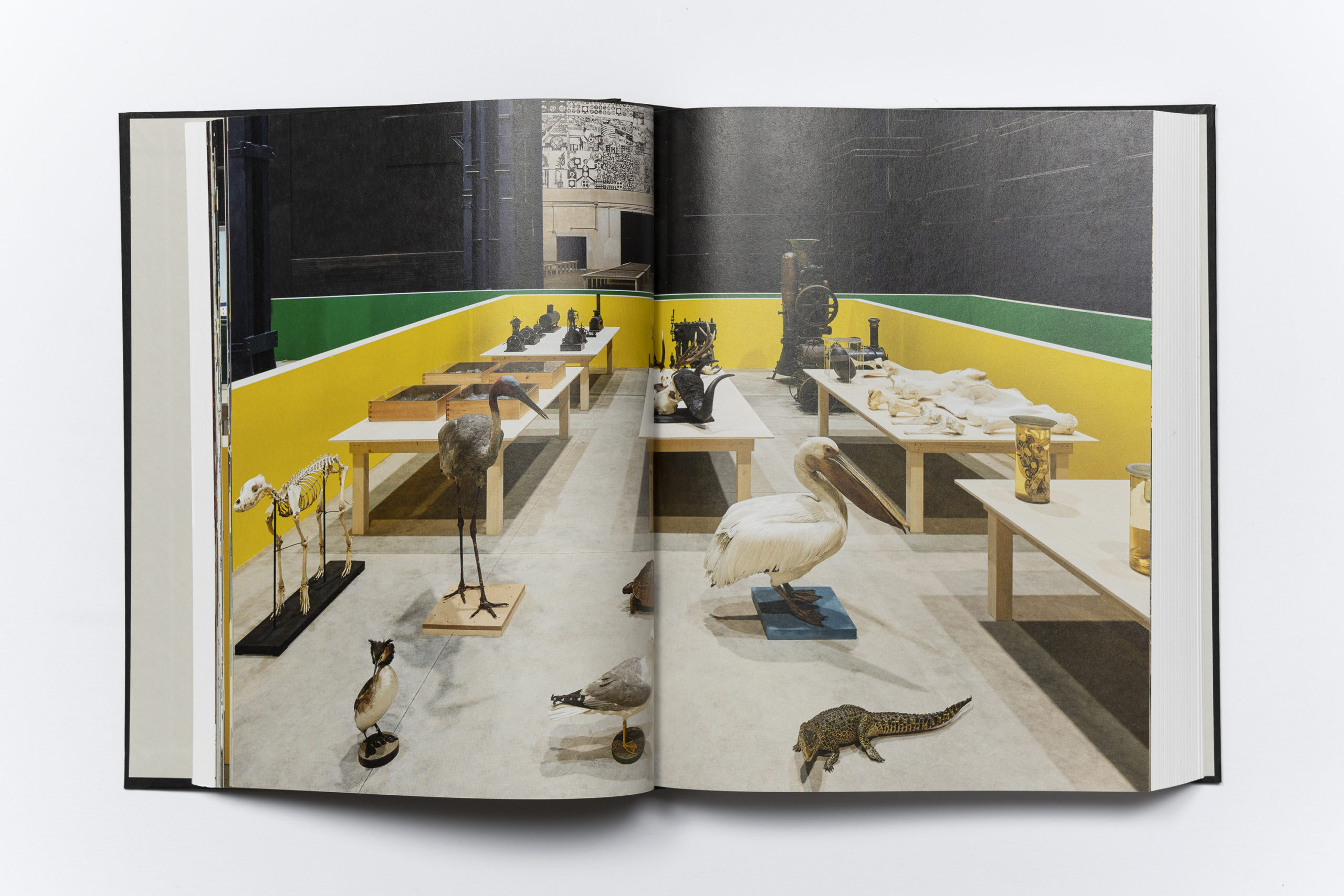 Matt Mullican. Photographs Catalogue 1967-2018 - Pirelli HangarBicocca