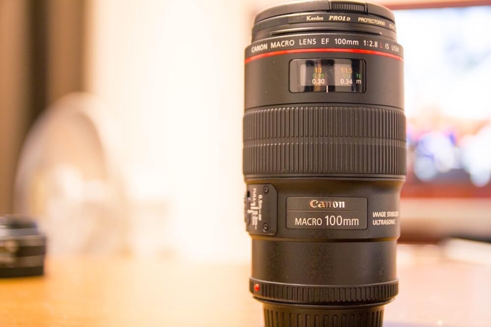 Canonのマクロレンズ 100mm F2.8lを実写レビュー！幻想的な世界観