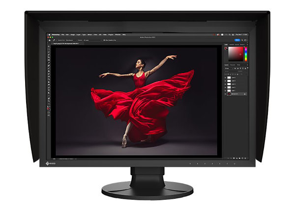 Eizo ColorEdge 24.1