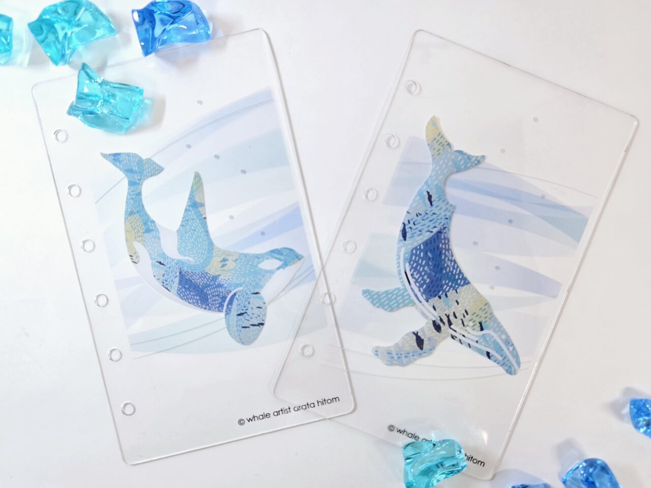 夏を楽しむ「海色文具」フェア開催 | I LOVE WHALES