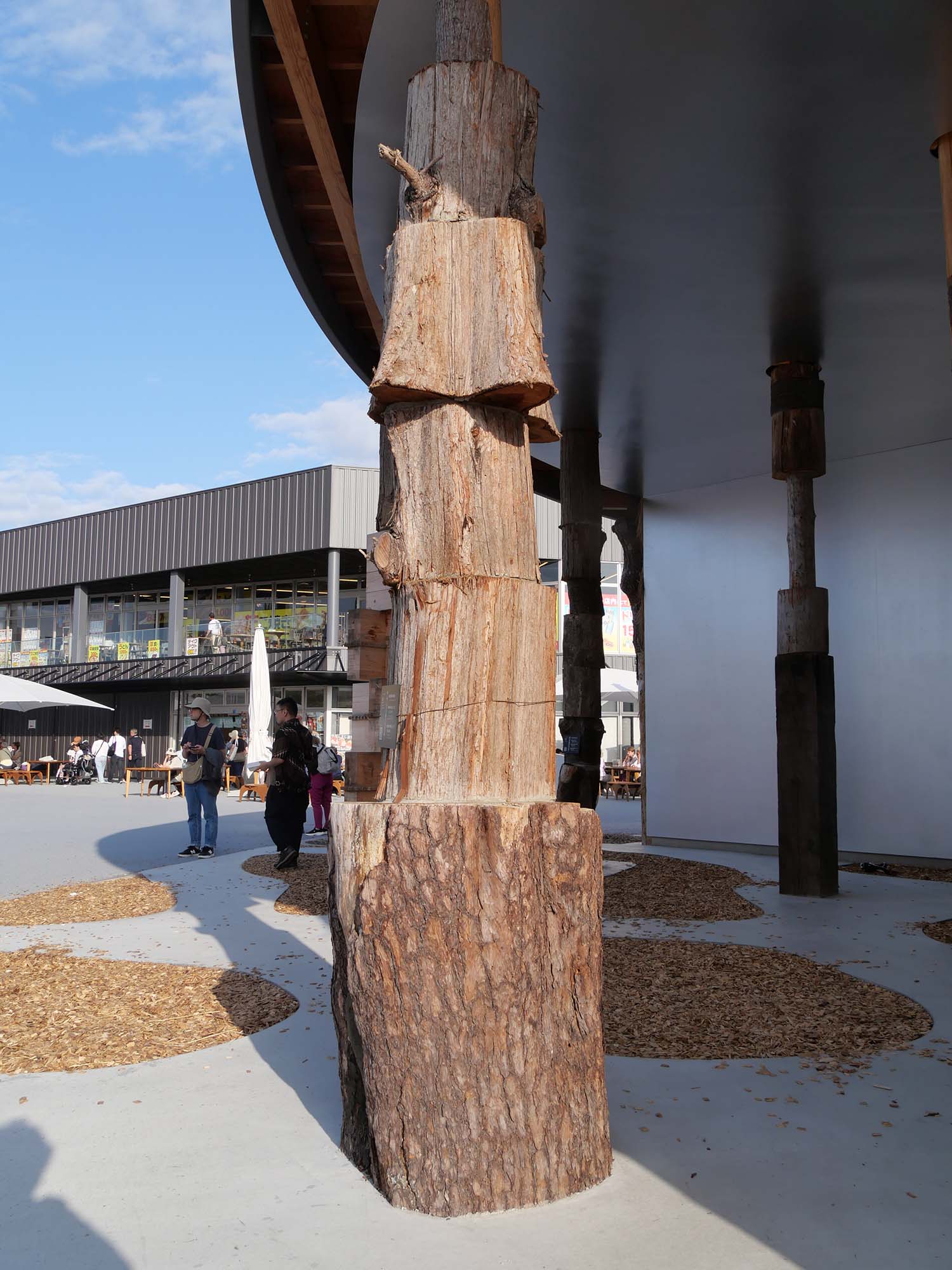 サテライトスタジオ東|2025年大阪・関西万博|日本万国博覧会と木の