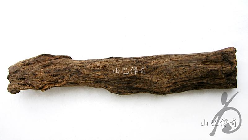 棋楠奇楠沉香龍香虎種04 ▻ 山巴傳奇沉香檀香棋楠世家｜專業天然香品山