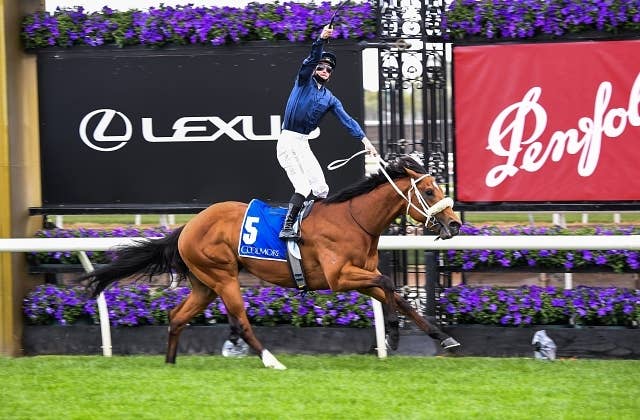 豪3歳G1クールモアスタッドS、前走で古馬に挑んだホームアフェアーズが